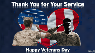 Thank You For Your Service Veterans Day GIF