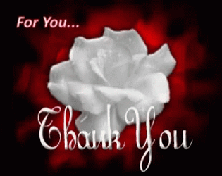 Thank You Friend Flower For You GIF