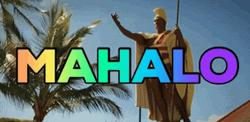 Thank You So Much Hawaii GIF