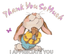 Thank You So Much I Appreciate You GIF