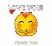 Thank You Text With Blowing Kiss Emoji