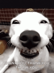 Thank You Thank You Puppy Big Grin GIF