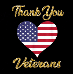 Thank You Veterans Happy Veterans Day Meme GIF