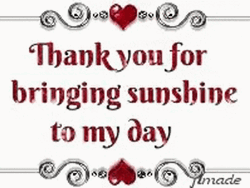 Thankful For Bringing Sunshine To My Day GIF