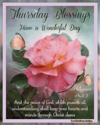 Thankful Thursday Blessings Pink Flower GIF