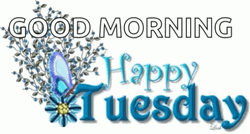 Thankful Tuesday Happy Morning GIF
