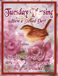 Thankful Tuesday Have A Bless Day GIF