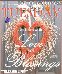 Thankful Tuesday May You Field With Love GIF