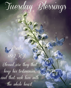 Thankful Tuesday With Daily Verse GIF