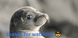 Thanks For Watching Cool Seal GIF