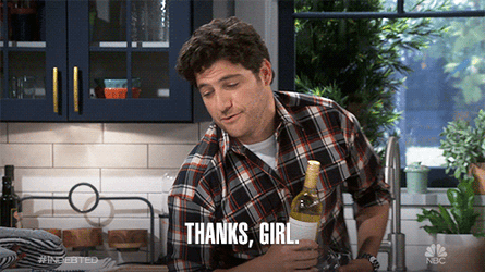 Thanks Girl Indebted Dave Adam Pally GIF