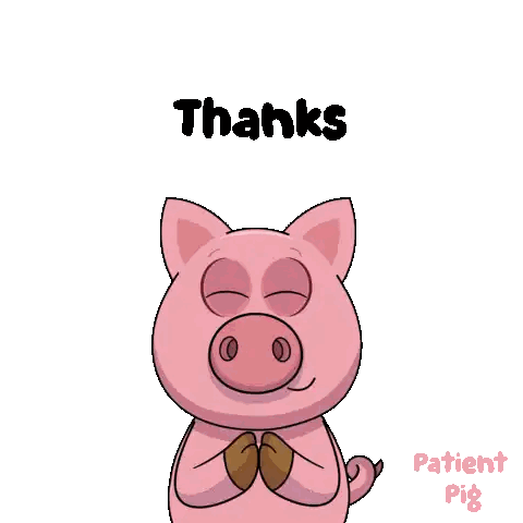 Thanks Patient Pig Sticker