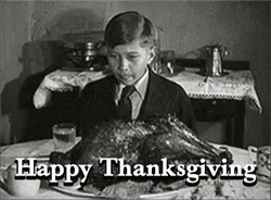 Thanksgiving Big Turkey Meal