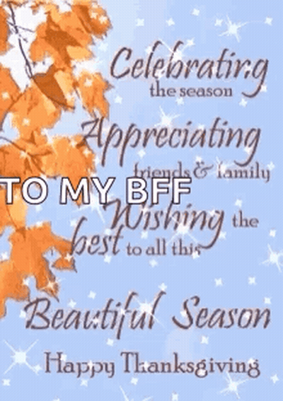 Thanksgiving Card Celebrating Season Appreciating Friends Family GIF