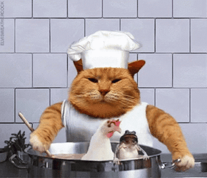 Thanksgiving Cat Cooking Chicken And Frog GIF