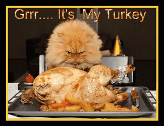 Thanksgiving Cat Grr Its My Turkey GIF