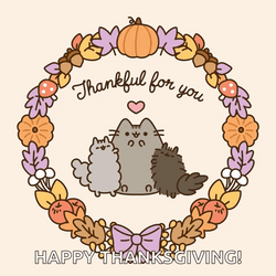 Thanksgiving Cat Thankful For You Happy Thanksgiving GIF
