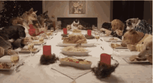 Thanksgiving Dinner Dogs Eating Together GIF