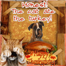 Thanksgiving Dinner Eaten By Dog Fun Clip GIF
