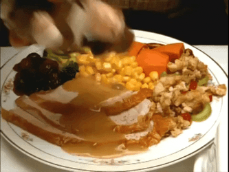 Thanksgiving Dinner Pilgrim Pair GIF