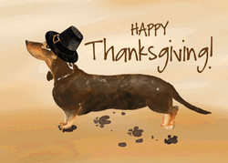 Thanksgiving Dog Message Digital Text Design GIF