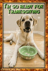 Thanksgiving Dog Ready For Turkey Dinner GIF