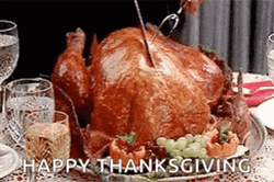Thanksgiving Fresh Cooked Turkey