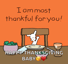 Thanksgiving Friends GIF