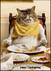 Thanksgiving Funny Asleep At Table Press GIF