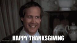 Thanksgiving Funny Clark Griswold Meme GIF