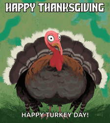 Thanksgiving Funny Happy Turkey Day GIF