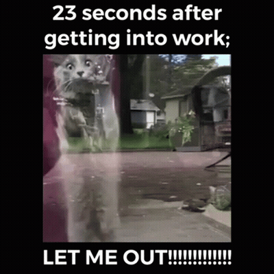 Thanksgiving Purple Shirt Man With Eating Pants GIF