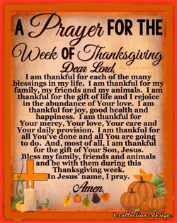 Thanksgiving Week Happy Thanksgiving Week GIF