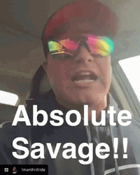 That Is Absolutely Savage GIF