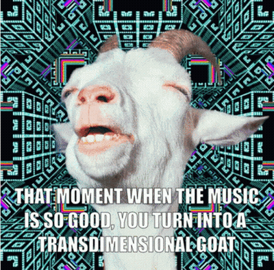 That Moment When Music So Good Goat GIF