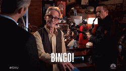 That's A Bingo Special Victim Unit Odafin Tutuola GIF