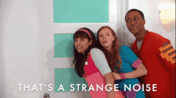 That's A Strange Noise GIF
