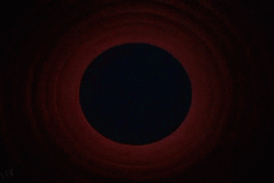 That's All Folks End GIF