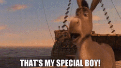 That's My Boy Donkey GIF