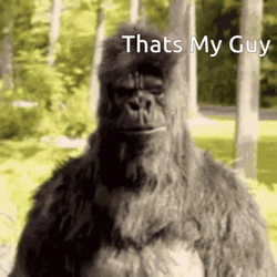 That's My Boy Human Monkey Costume GIF