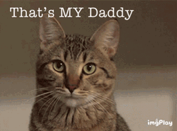 That's My Dad Cat GIF