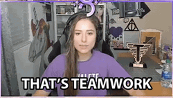 That's Teamwork Meme GIF