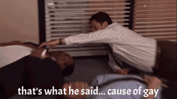 That's What He Said Cause Of Gay GIF