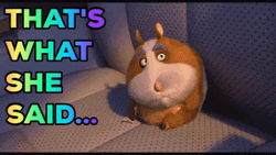 That's What She Said Cartoon Hamster GIF