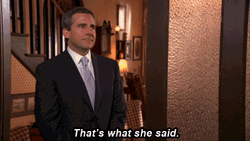 That's What She Said Michael Smile GIF