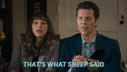 That's What Sheep She Said GIF