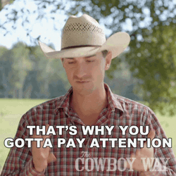 That's Why You Got To Pay Attention GIF