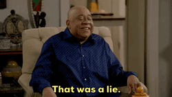 That Was A Lie GIF