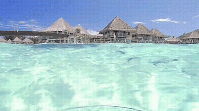 Thatched Roof Houses By Water GIF