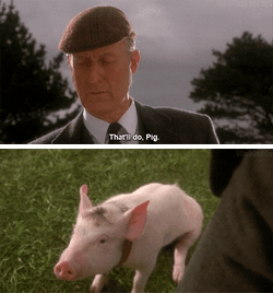 Thatll Do Pig Babe GIF